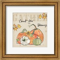 Framed 'Be Thankful IV' border=