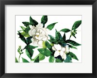 Framed Bright Gardenias