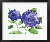 Framed Bright Hydrangeas