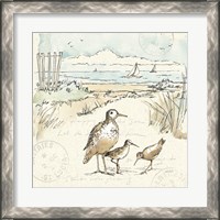 Framed 'Coastal Breeze X' border=