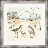 Framed 'Coastal Breeze XI' border=