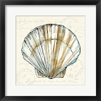 Coastal Breeze VII Framed Print