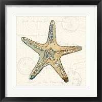 Coastal Breeze VIII Framed Print