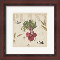 Framed 'Farmers Feast IV' border=