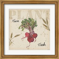 Framed 'Farmers Feast IV' border=