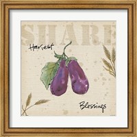 Framed 'Farmers Feast  Harvest III' border=