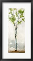 Framed Watercolor Birch Trees I