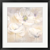 Framed White Poppies I