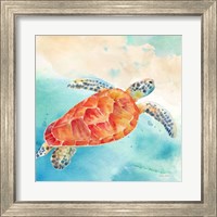 Framed 'Sea Splash Sea Turtle' border=