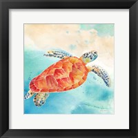 Sea Splash Sea Turtle Framed Print