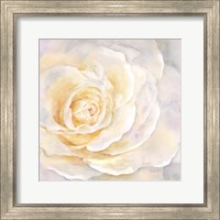 Framed 'Watercolor Rose Closeup II' border=