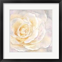 Framed 'Watercolor Rose Closeup II' border=