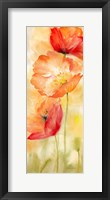 Watercolor Poppy  Meadow Spice Panel II Framed Print