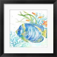 Sea Life Serenade I Framed Print