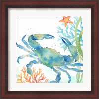 Framed 'Sea Life Serenade II' border=