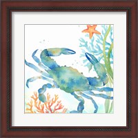 Framed 'Sea Life Serenade II' border=