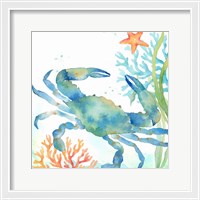 Framed 'Sea Life Serenade II' border=