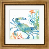 Framed 'Sea Life Serenade II' border=