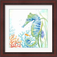 Framed 'Sea Life Serenade III' border=