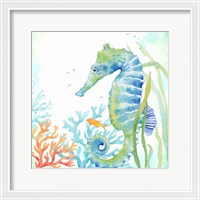 Framed 'Sea Life Serenade III' border=