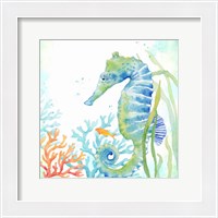 Framed 'Sea Life Serenade III' border=