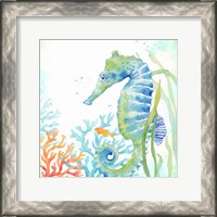 Framed 'Sea Life Serenade III' border=