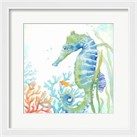 Framed Sea Life Serenade III