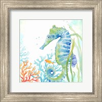 Framed 'Sea Life Serenade III' border=