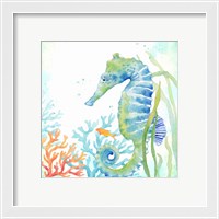 Framed 'Sea Life Serenade III' border=