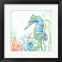 Framed Sea Life Serenade III