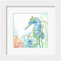 Framed 'Sea Life Serenade III' border=