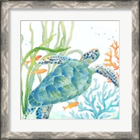 Framed 'Sea Life Serenade IV' border=