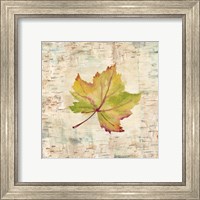 Framed 'Nature Walk Leaves III' border=