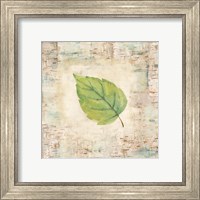 Framed 'Nature Walk Leaves IV' border=