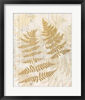 Golden Fern II Framed Print