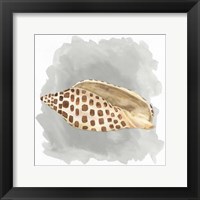 Shells on Grey I Framed Print