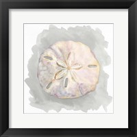 Shells on Grey IV Framed Print