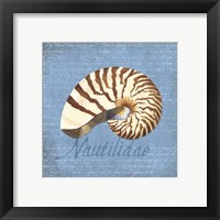 Framed 'Oceanum Shells Blue III' border=