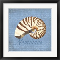 Framed 'Oceanum Shells Blue III' border=