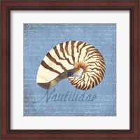 Framed 'Oceanum Shells Blue III' border=