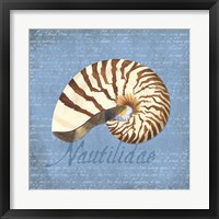 Framed 'Oceanum Shells Blue III' border=