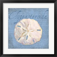 Framed 'Oceanum Shells Blue IV' border=