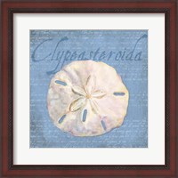 Framed 'Oceanum Shells Blue IV' border=