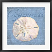 Framed 'Oceanum Shells Blue IV' border=