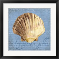 Framed 'Oceanum Shells Blue V' border=