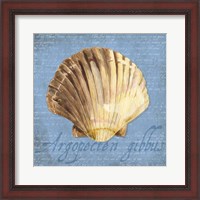 Framed 'Oceanum Shells Blue V' border=