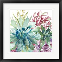 Succulent Garden Watercolor II Framed Print