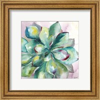 Framed 'Succulent Watercolor I' border=