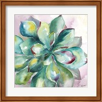 Framed 'Succulent Watercolor I' border=