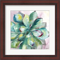 Framed 'Succulent Watercolor I' border=